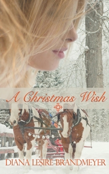 Paperback A Christmas Wish Book