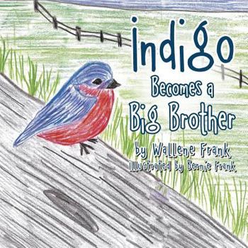 Paperback Indigo Becomes a Big Brother Book