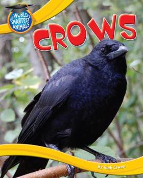 Crows - Book  of the World's Smartest Animals