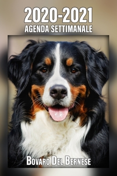 2020-2021 Agenda Settimanale Bovaro Del Bernese: 221 Pagine | Dimensioni DIN A5 | Pianificatore | 24 Mesi | Due Pagine Per Settimana | Calendario | Diario | Cane | In Italiano (Italian Edition)