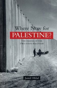 Hardcover Where Now for Palestine?: The Demise of the Two-State Solution Book