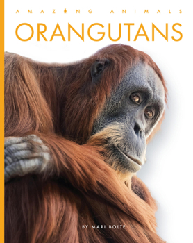 Paperback Orangutans Book