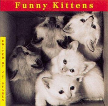 Hardcover Funny Kittens Book