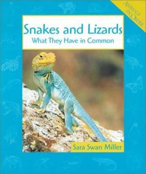 Paperback Snakes and Lizards: What They Have in Common (Animals in Order) Book