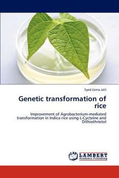 Paperback Genetic Transformation of Rice Book