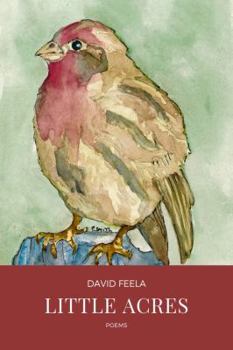 Paperback Little Acres Book