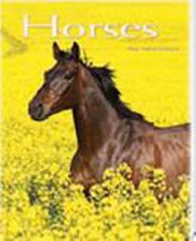 Hardcover Great Pocket Book: Horses Book