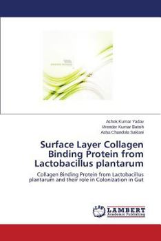 Surface Layer Collagen Binding Protein from Lactobacillus plantarum: Collagen Binding Protein from Lactobacillus plantarum and their role in Colonization in Gut