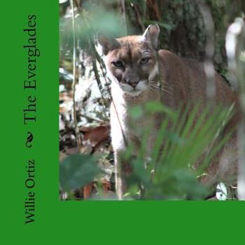 Paperback The Everglades Book