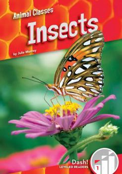 Insects - Book  of the Animal Classes