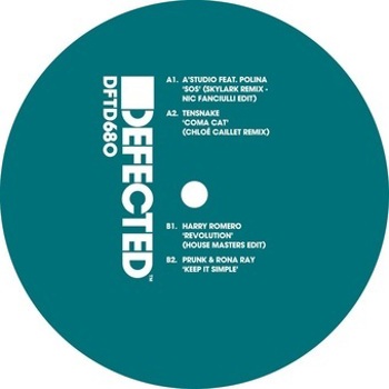 Vinyl Defected Ep17 Book