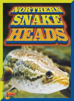 Paperback Northern Snakeheads Book