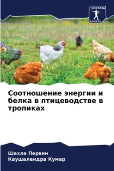 Paperback Соотношение энергии и бе [Russian] Book