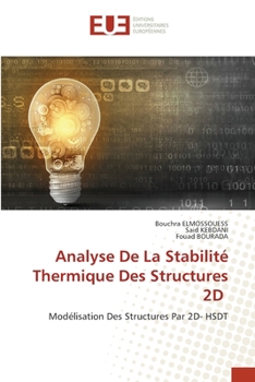 Paperback Analyse De La Stabilité Thermique Des Structures 2D [French] Book