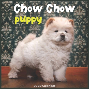Paperback Chow Chow Puppy 2022 Calendar: Official Chow Chow Dog Breed 2022 Calendar 16 months Book