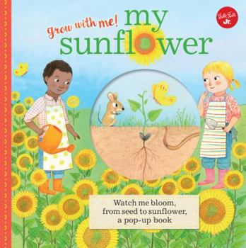 Hardcover My Sunflower: Watch me bloom, from seed to sunflower, a pop-up book (Grow with Me!) Book