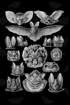 Paperback Bats Scientific Illustration Notebook Biology Halloween Art Journal: Lined 120 Pages 6 X 9 Book