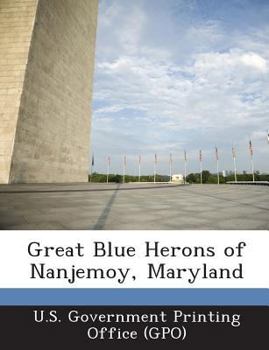 Great Blue Herons of Nanjemoy, Maryland
