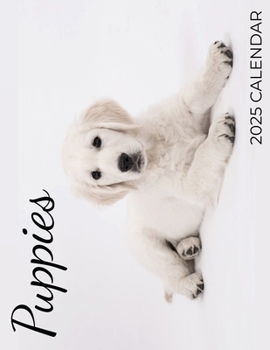 Paperback Puppies 2025 Calendar: 2025 Calendar Book