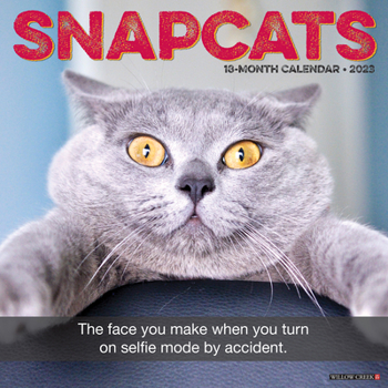 Calendar Snapcats 2023 Wall Calendar Book