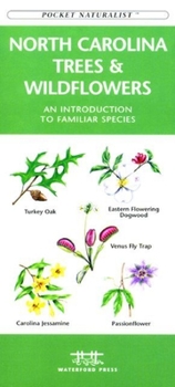 Pamphlet Northwestern Seashore Life: A Folding Pocket Guide to Familiar Plants & Animals Book