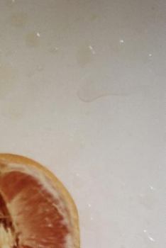 Paperback Butter Knife Book