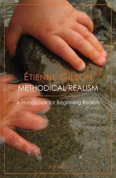 Paperback Methodical Realism: A Handbook for Beginning Realists Book