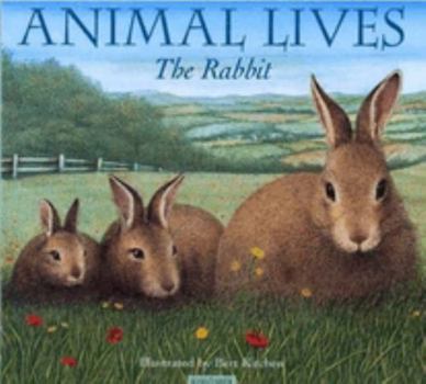Hardcover The Rabbit Book