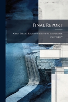 Final Report...