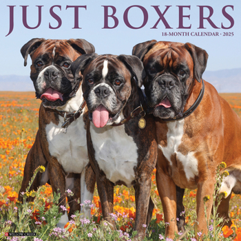 Calendar Just Boxers 2025 12 X 12 Wall Calendar Book