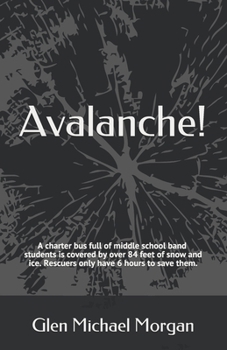 Paperback Avalanche! Book