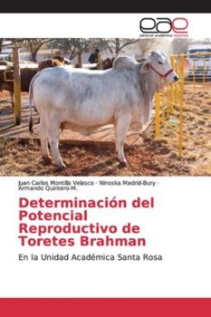 Paperback Determinación del Potencial Reproductivo de Toretes Brahman [Spanish] Book