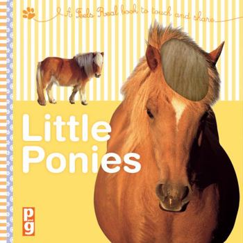 Board book Feels Real - Little Ponies: A Feels Real Book to Touch and Share Book