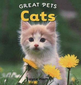 Cats - Book  of the Great Pets