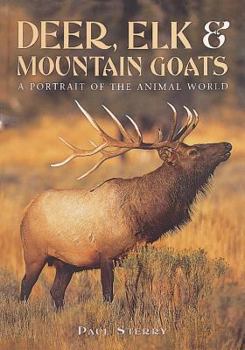 Hardcover Deer, Elk, & Mountain Goats: A Portrait of the Animal World Book