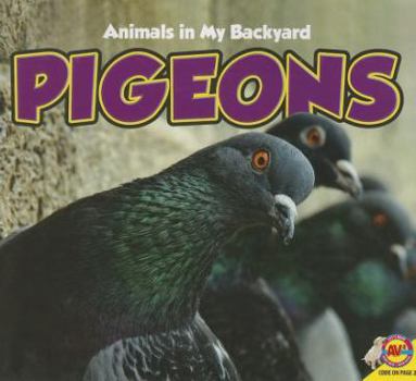 Pigeons - Book  of the Animals in My Backyard