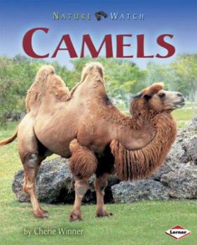 Library Binding Camels Book