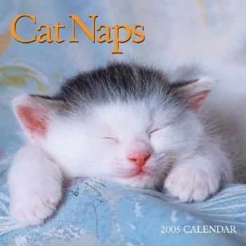 Calendar Cat Naps 2005 Mini Calendar Book