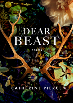 Paperback Dear Beast Book