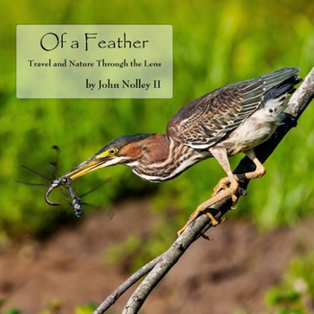 Paperback Of a Feather: Travel and Nature Through the Lens Book