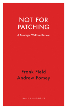 Paperback Not for Patching: A Strategic Welfare Review Book