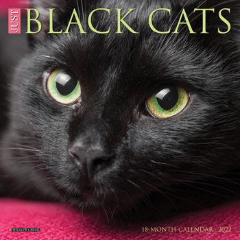 Calendar Just Black Cats 2022 Mini Wall Calendar Book