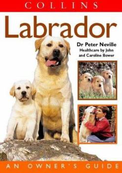 Paperback Dog Owner's Guide: Labrador Book