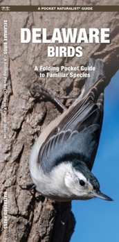 Paperback Delaware Birds: A Folding Pocket Guide to Familiar Species Book