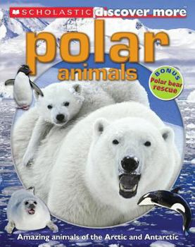 Paperback Scholastic Discover More: Polar Animals Book