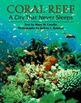 Hardcover Coral Reef: A City That Never Sleeps Book