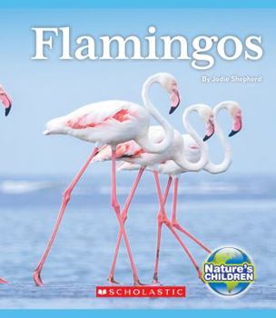 Hardcover Flamingos (Nature's Children) Book