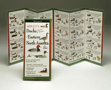 Pamphlet Sibley's Ducks, Geese, and Swans of Eastern North America Book