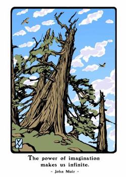Cards Bristlecone Pine (Boxed): Boxed Set of 6 Cards Book