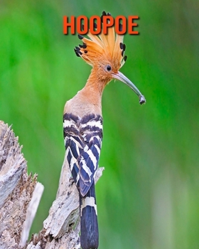 Paperback Hoopoe: Amazing Facts about Hoopoe Book
